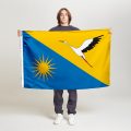 Флаг стандартный двусторонний, Блэкаут Коптева