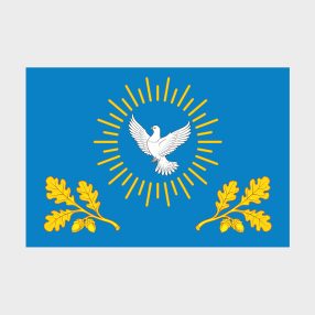 Флаг малый двусторонний, Блэкаут Ивановского