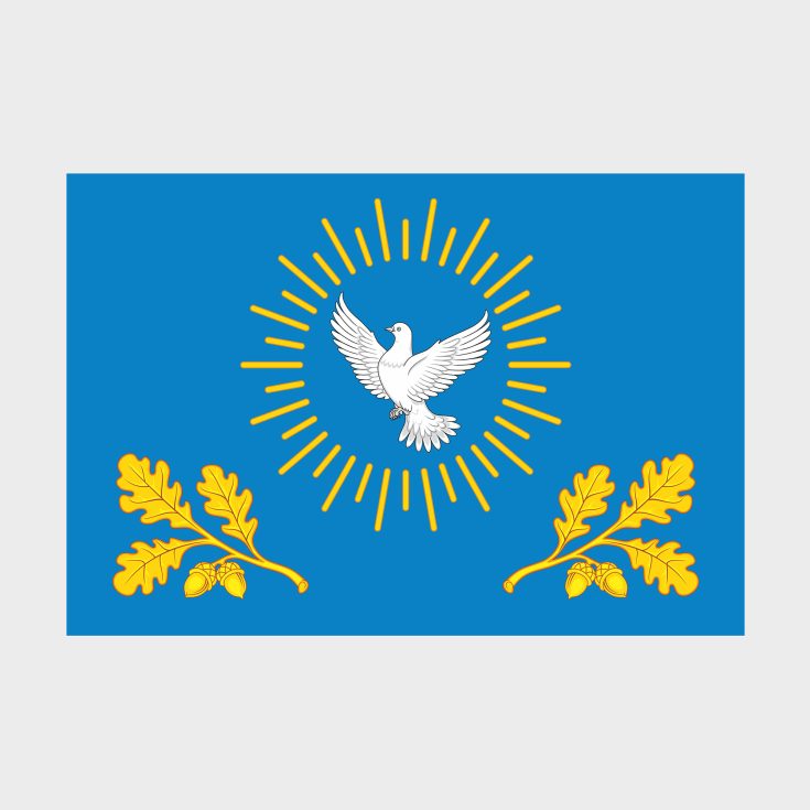 Флаг среднего размера односторонний, Блэкаут Ивановского