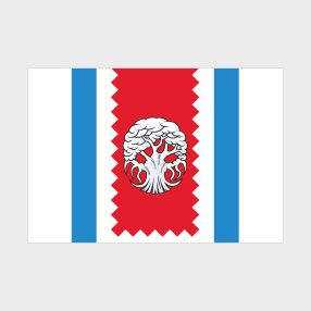 Флаг среднего размера двусторонний с подкладкой Западного Дегунина