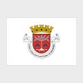 Флаг малый двусторонний с подкладкой Дили