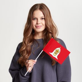 Флаг малый двусторонний, Блэкаут Головинский