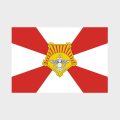 Флаг стандартный односторонний, Блэкаут Восточный военный округ