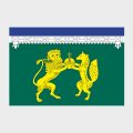 Флаг малый двусторонний Выхина-Жулебина
