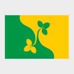 Флаг стандартный двусторонний Восточного Дегунина
