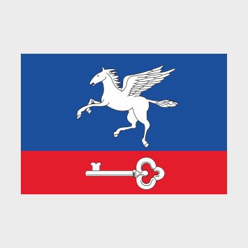 Флаг среднего размера двусторонний Внуково