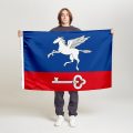 Флаг стандартный односторонний прямая печать Внуково
