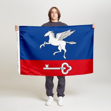 Флаг стандартный односторонний прямая печать Внуково