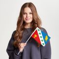 Флаг малый односторонний Бибирево