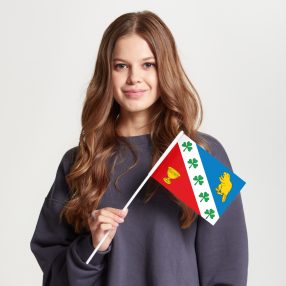 Флаг малый односторонний прямая печать Бибирево
