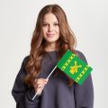 Флаг малый двусторонний Бирюлёво Восточное