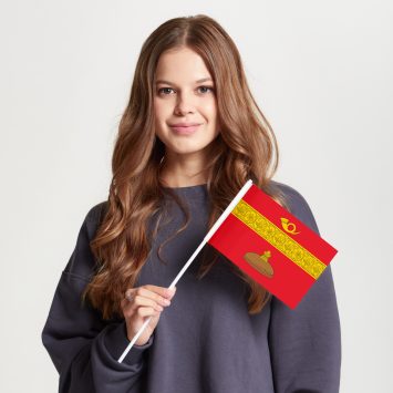 Флаг малый двусторонний Басманного района