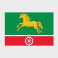 Флаг малый двусторонний, Блэкаут Беговой