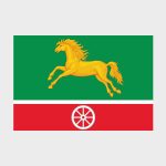 Флаг стандартный односторонний прямая печать Беговой