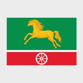 Флаг малый двусторонний, Блэкаут Беговой