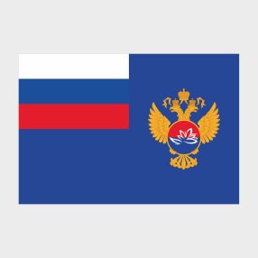 Флаг стандартный односторонний Министерство РФ по развитию Дальнего Востока и Арктики