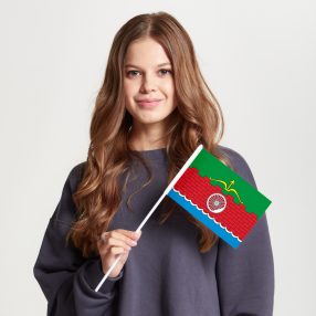 Флаг малый двусторонний с подкладкой Люблино