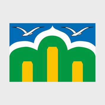 Флаг среднего размера двусторонний Марьино