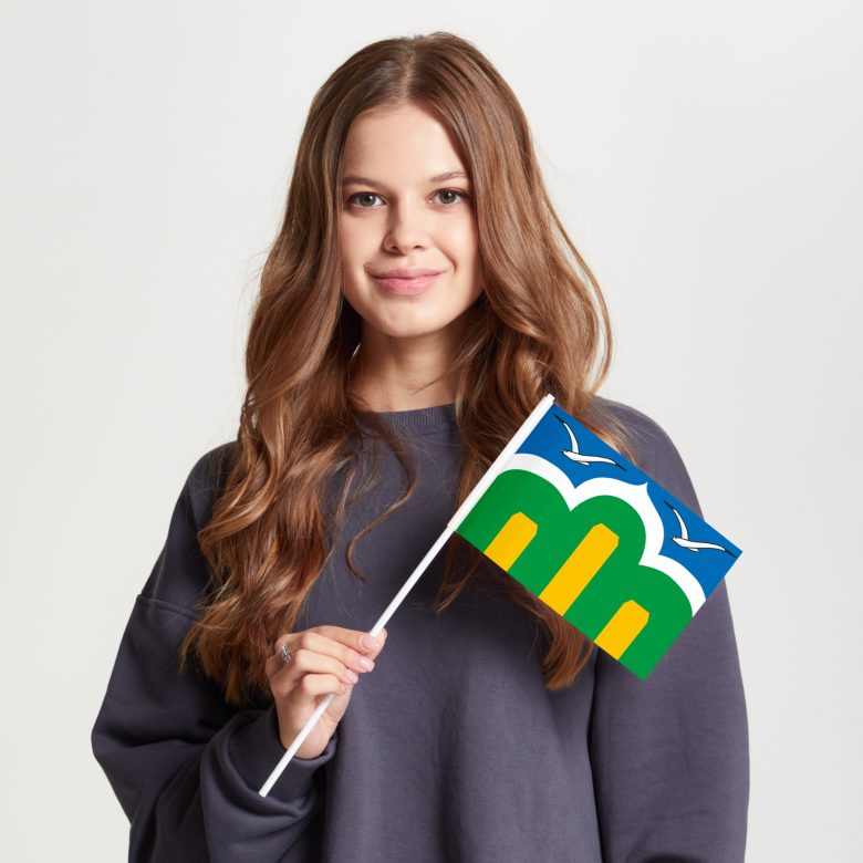 Флаг малый двусторонний, Блэкаут Марьино