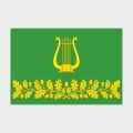 Флаг малый двусторонний Лианозово