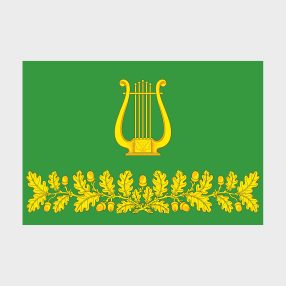 Флаг большой двусторонний, Блэкаут Лианозово