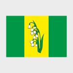 Флаг большой двусторонний Куркина
