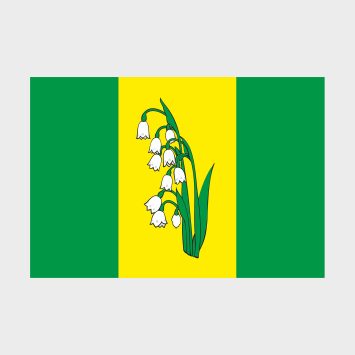 Флаг среднего размера двусторонний Куркина