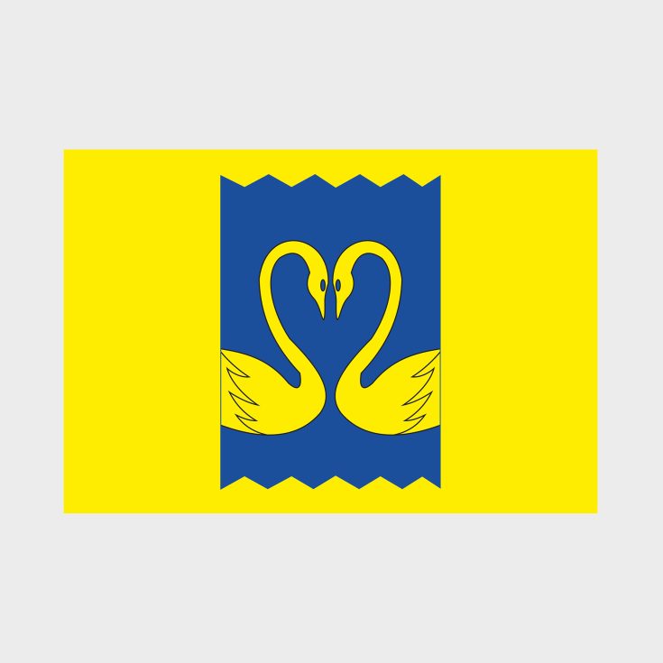 Флаг стандартный двусторонний с подкладкой Кузьминок