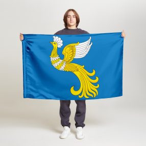 Флаг стандартный односторонний, Блэкаут Отрадное