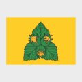 Флаг стандартный односторонний Орехово-Борисово Южное