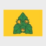 Флаг большой двусторонний, Блэкаут Орехово-Борисово Южное