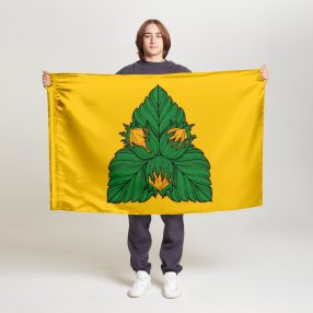 Флаг стандартный односторонний Орехово-Борисово Южное