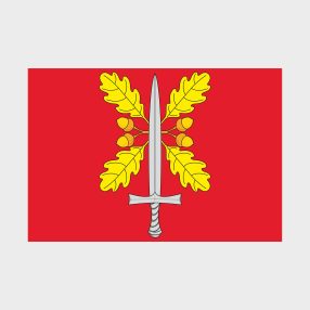 Флаг стандартный односторонний, Блэкаут Ново-Переделкино