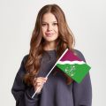 Флаг малый двусторонний Нагатинский затон