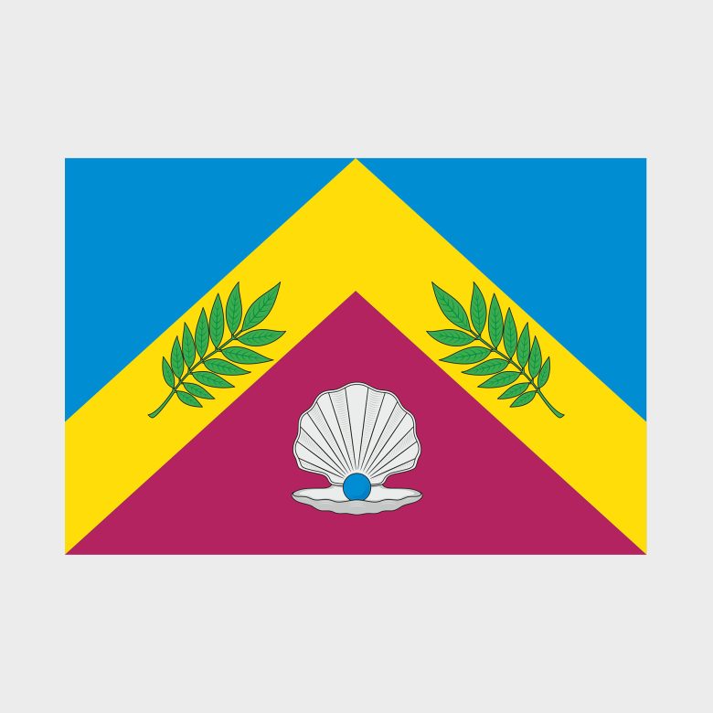 Флаг малый двусторонний, Блэкаут Ясенево