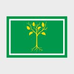 Флаг среднего размера односторонний, прямая печать Чертаново Центральное