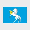 Флаг большой односторонний с прямой печатью Чертаново Северное