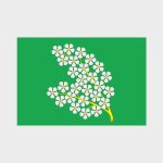 Флаг большой двусторонний Черёмушки