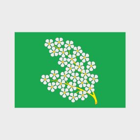 Флаг малый двусторонний с подкладкой Черёмушки