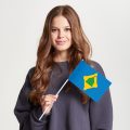 Флаг стандартный односторонний прямая печать Хорошёвского района