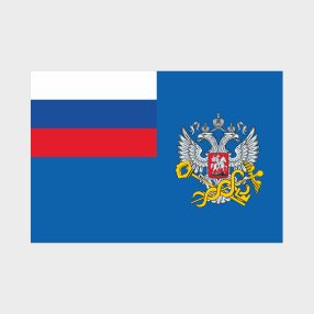 Флаг среднего размера односторонний, прямая печать Федеральная налоговая служба