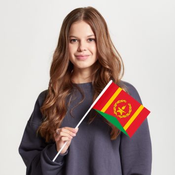 Флаг малый односторонний прямая печать Тверского района