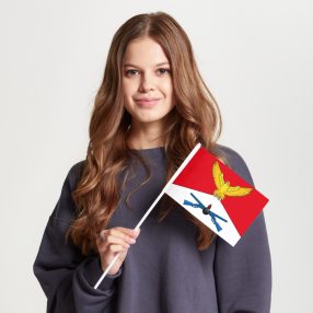 Флаг малый двусторонний с подкладкой Соколиная гора