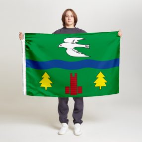 Флаг стандартный двусторонний Северного Тушина