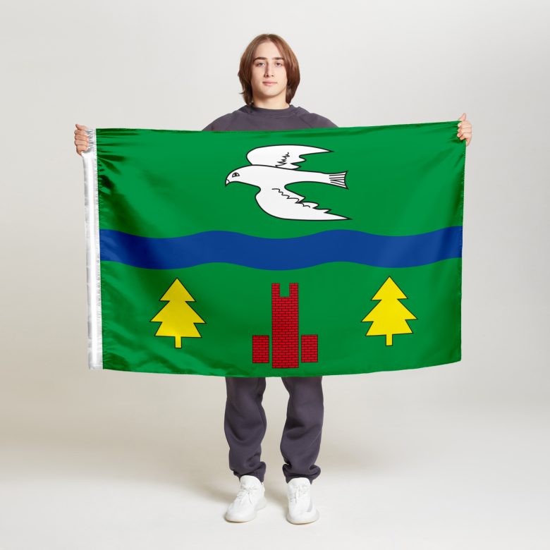 Флаг стандартный двусторонний Северного Тушина