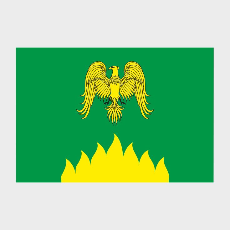 Флаг большой двусторонний Раменок