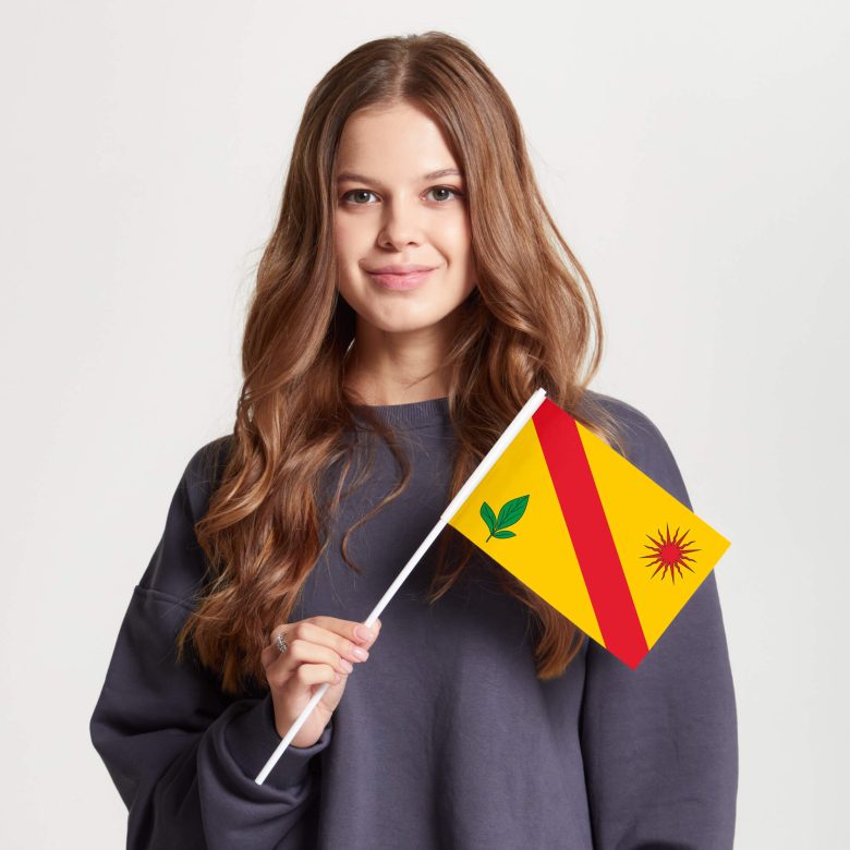 флаг_алтуфьевского_района