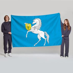 Флаг большой двусторонний с подкладкой Чертаново Северное