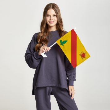 Флаг среднего размера двусторонний Алтуфьевского района