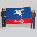 Флаг большой односторонний Внуково